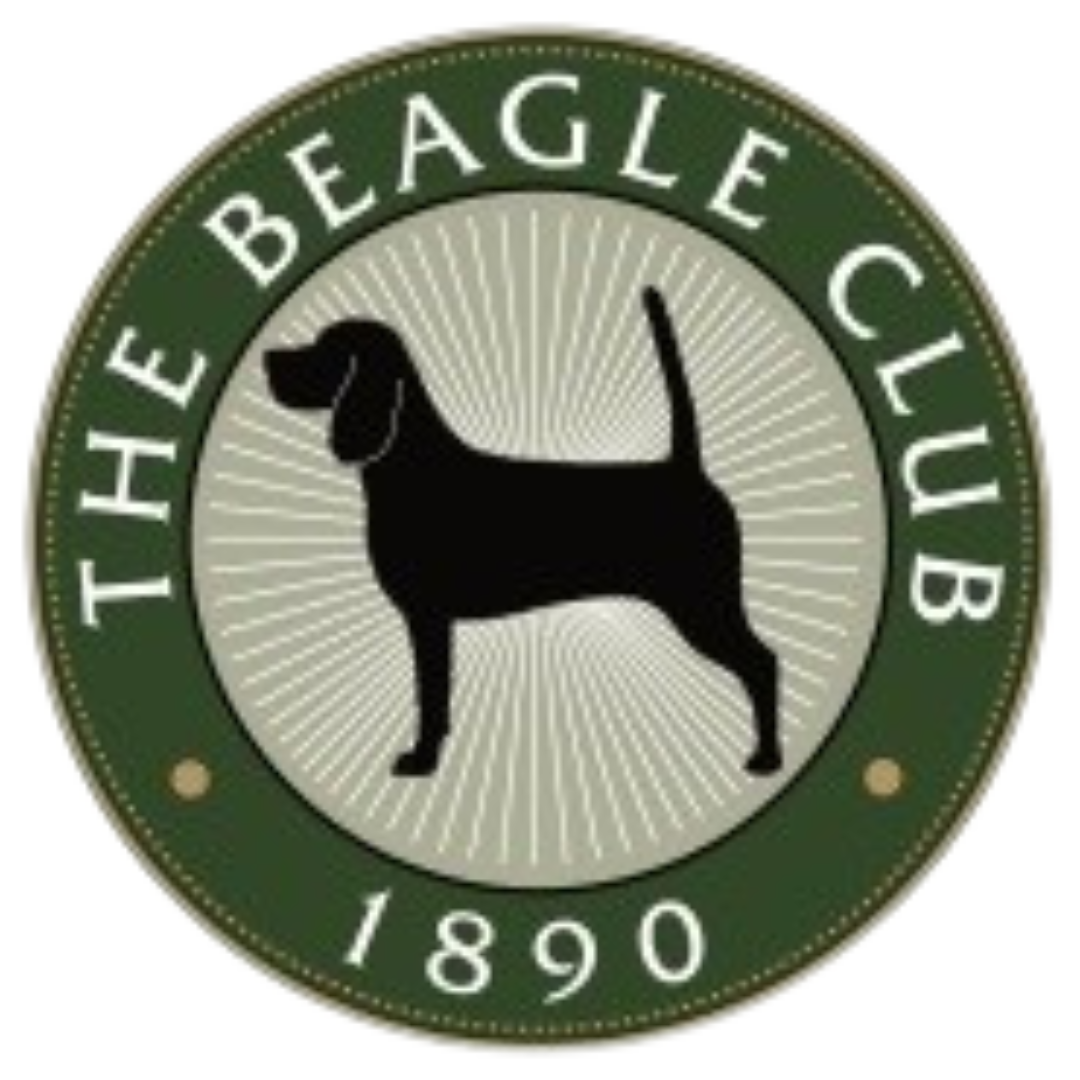 THE BEAGLE CLUB